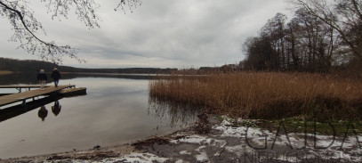 Działka Sprzedaż Zajączkowo